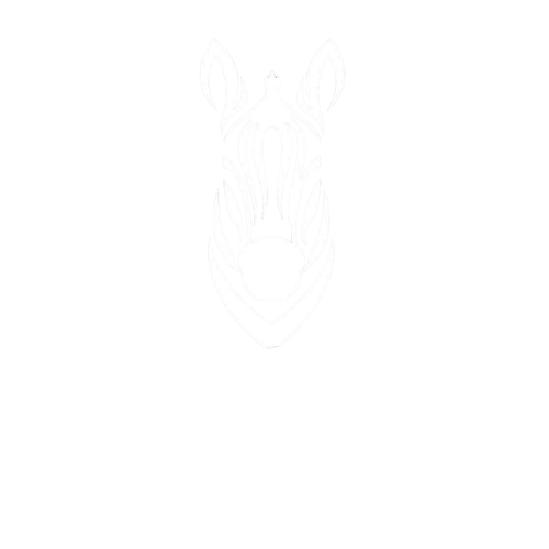 Geek Zebra