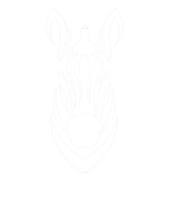 Geek Zebra